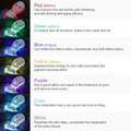 Primalderm LED Face Therapy Mask