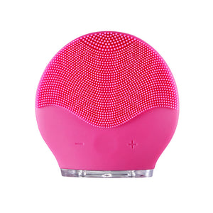 Primalderm™ Ultrasonic Facial Cleanser